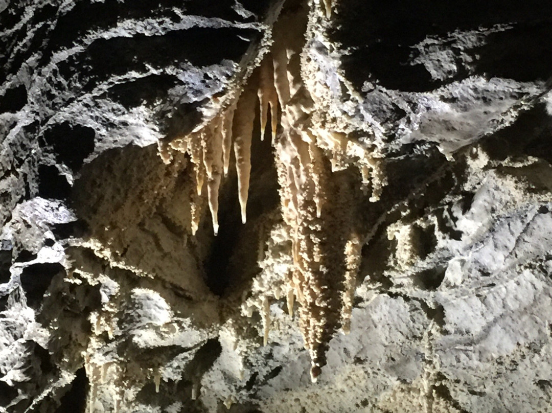 Ruakuri Cave景点图片