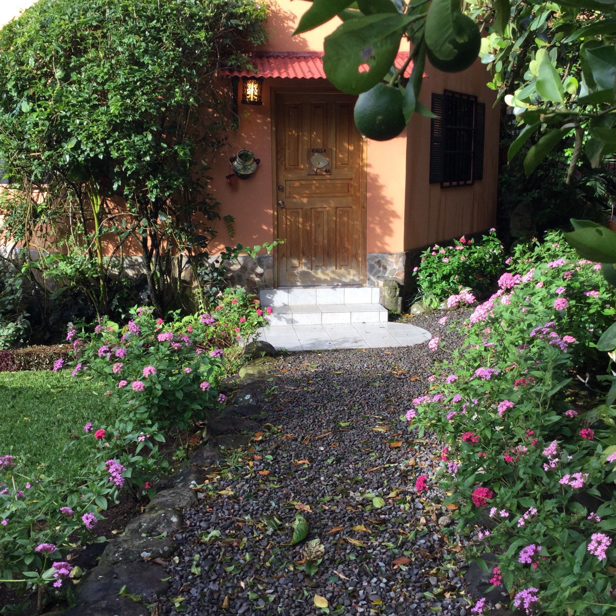 Boquete Garden Inn-餐饮