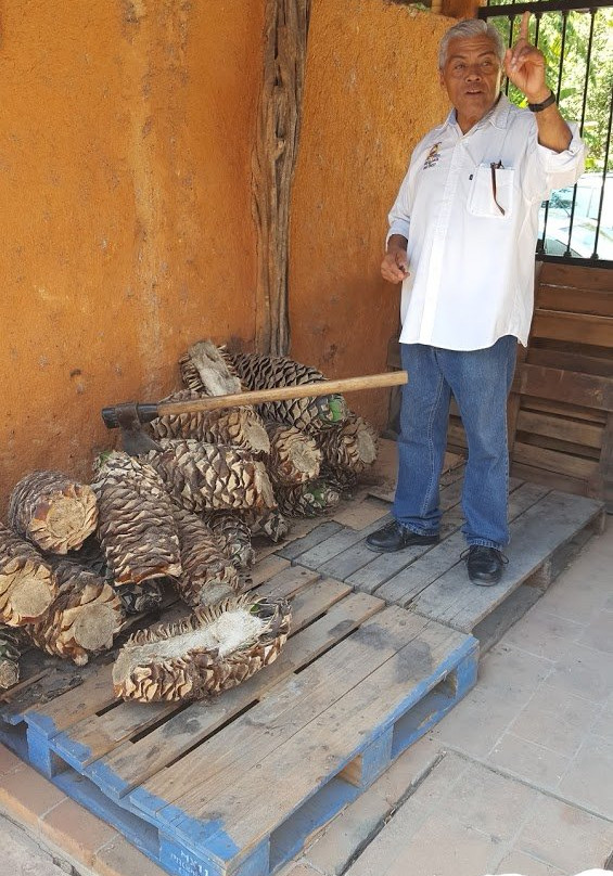 Tequila Mama Lucia-Mismaloya必去景点