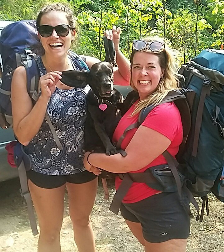 Sunshine Coast Shuttle-鲍威尔里弗必去景点