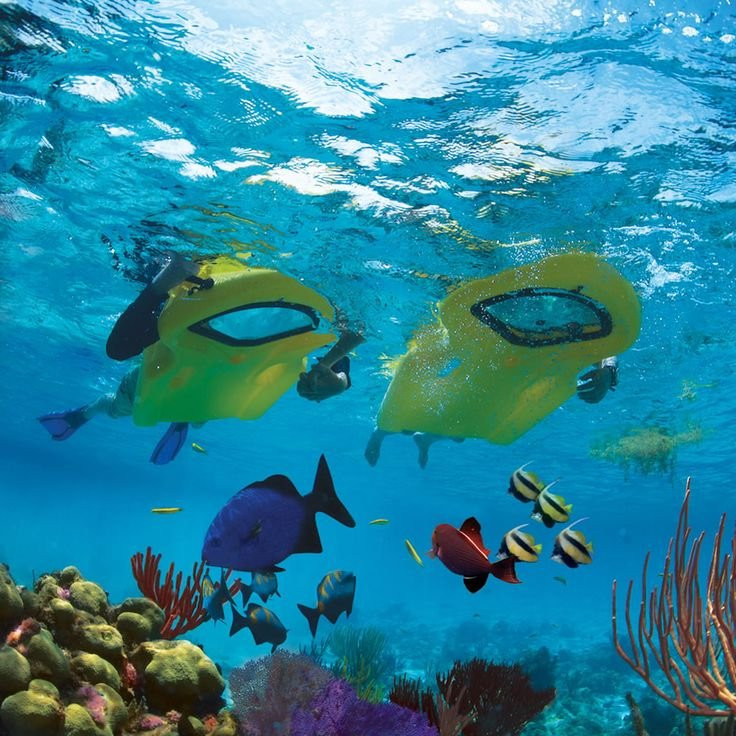 FNF Adventure & Hire Centre-Nelly Bay必去景点