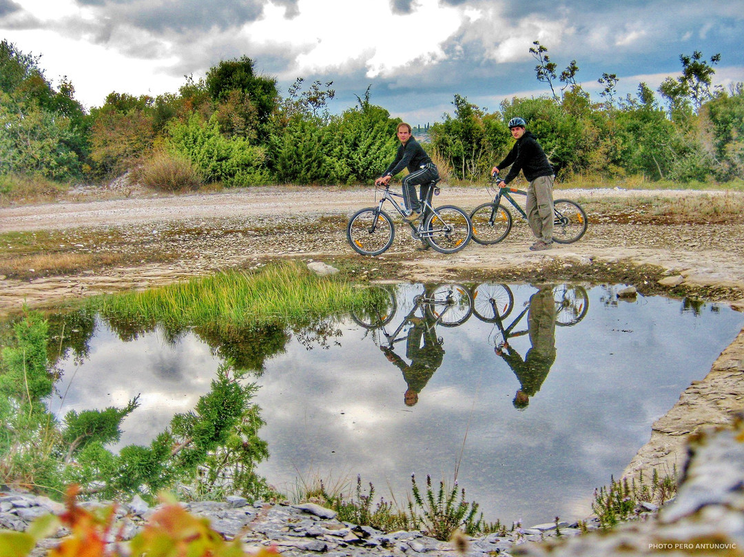 Apartments Island of Brac - Villa Nela主图