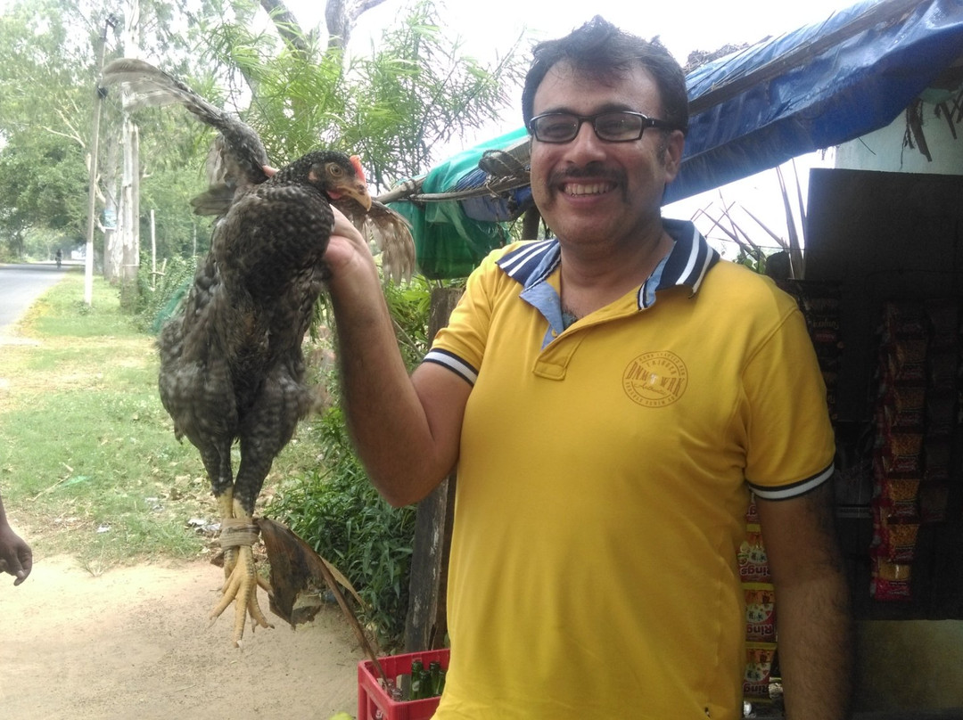 Baliharachandi Beach-普里必去景点