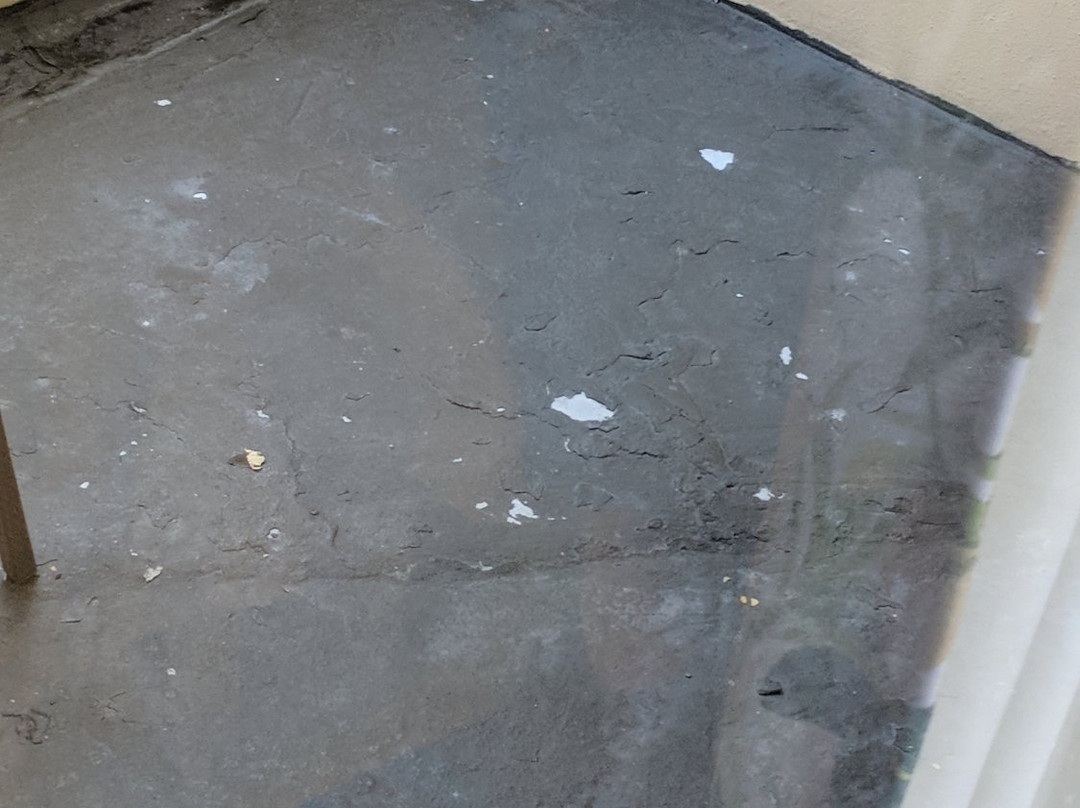 博卡－拉顿广场酒店及套房主图