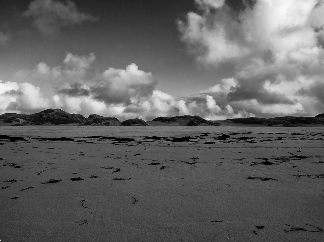 Eoropie Dunes Park景点图片