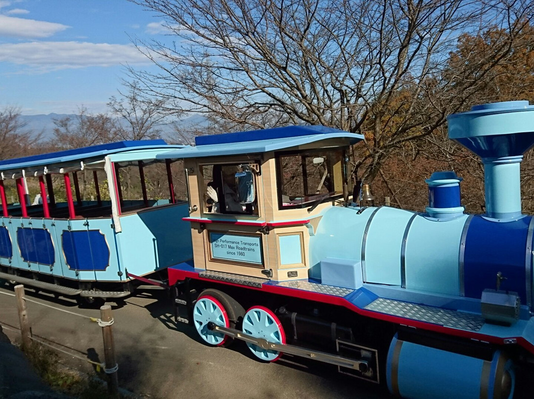 Odawara Wanpaku Land-小田原市必去景点