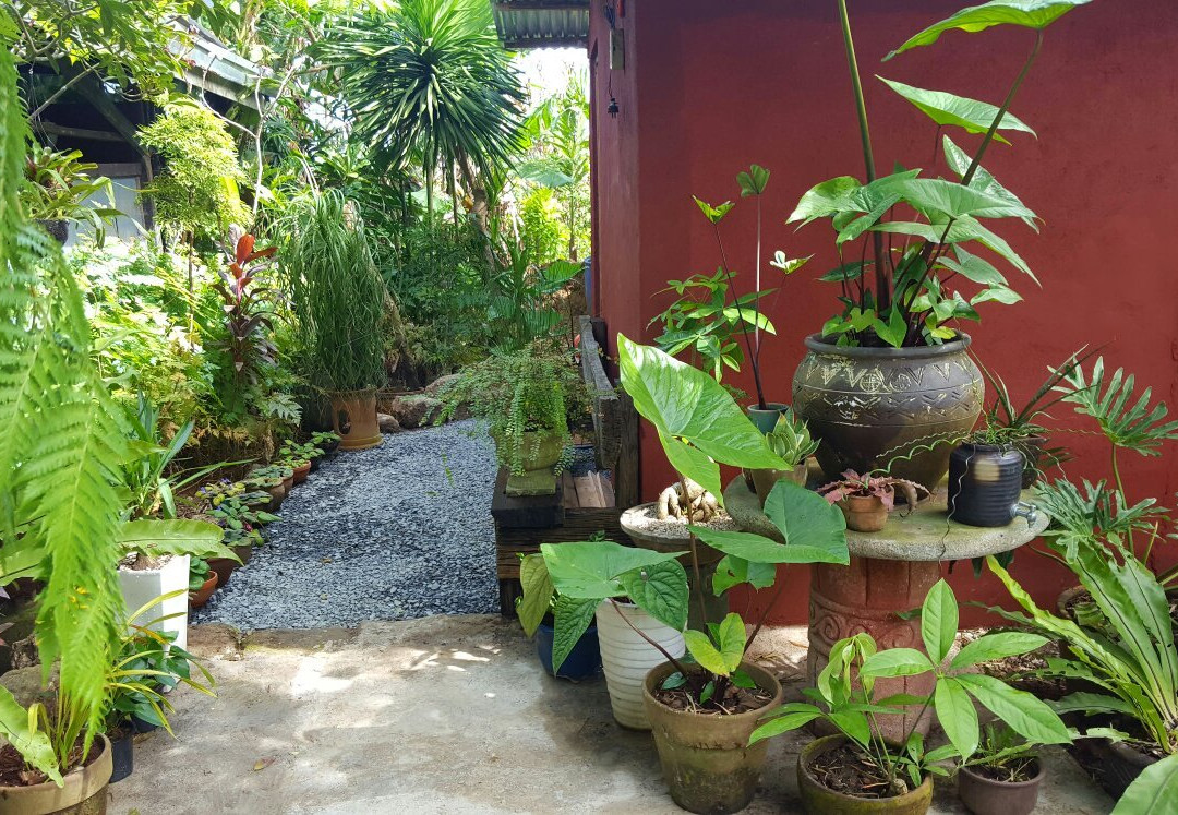 Indang酒店住宿-M Spa & Cafe