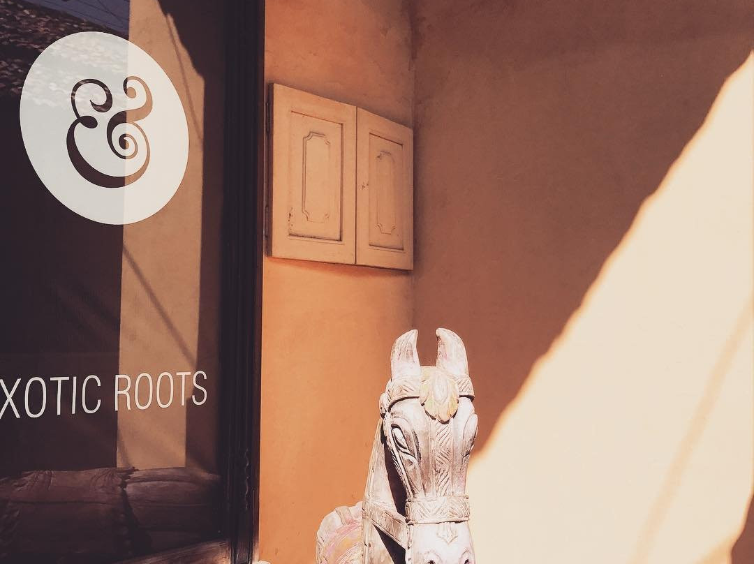 EXOTIC ROOTS-加勒必去景点