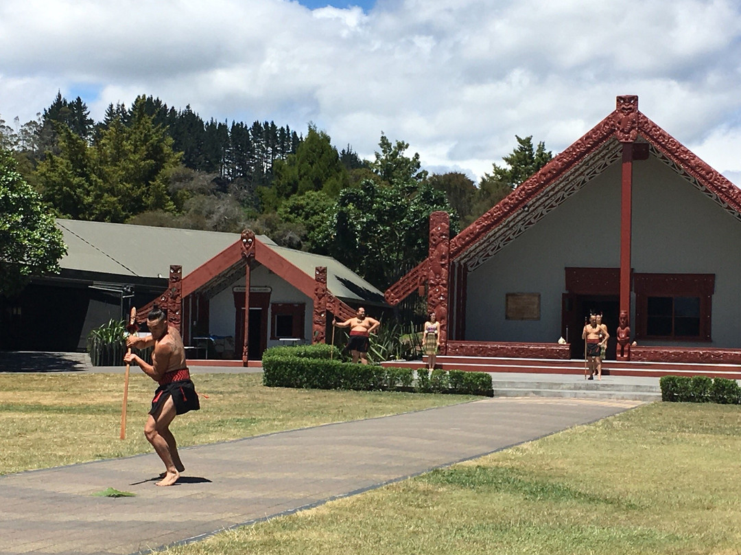 Cheeky Kiwi Travel景点图片