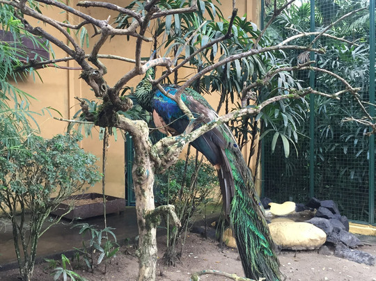 Bali Rent Car With Driver-库塔必去景点