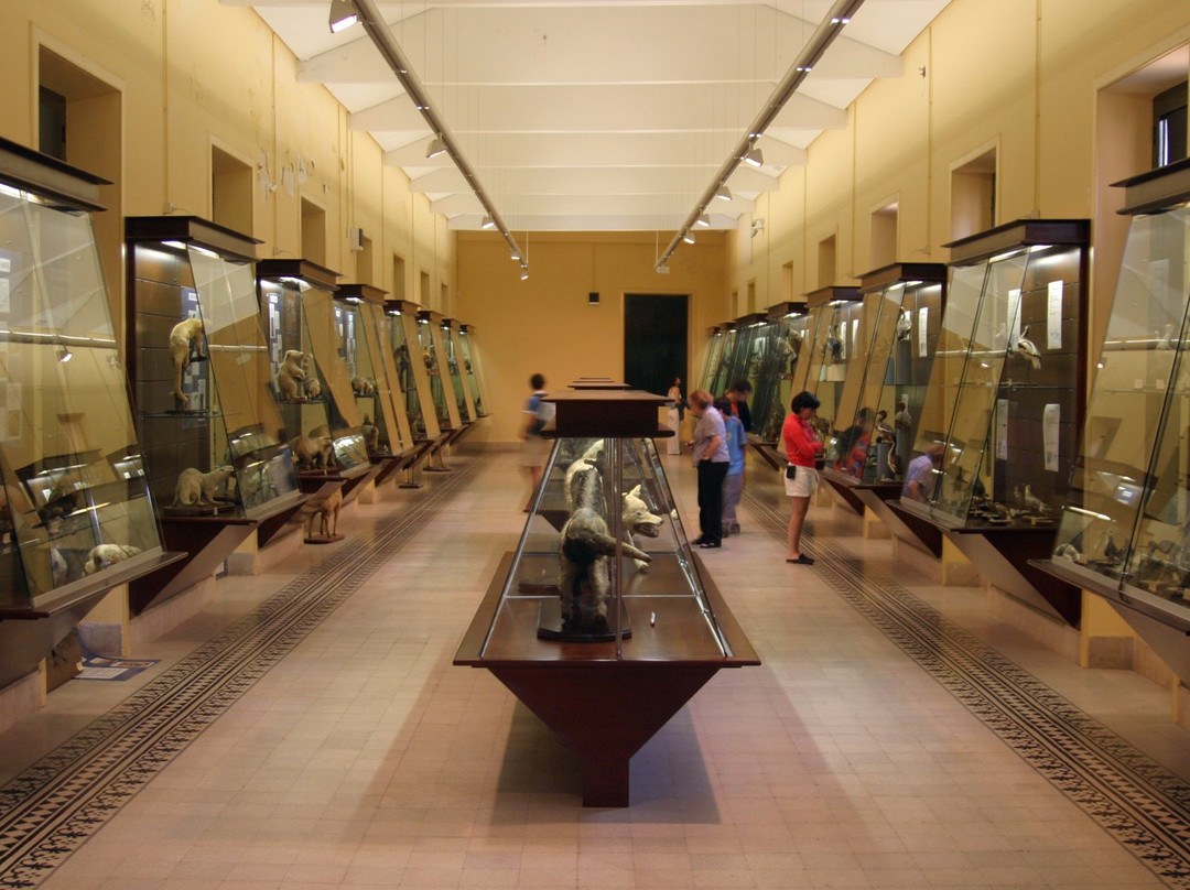 Museo del IES Cabrera Pinto景点图片