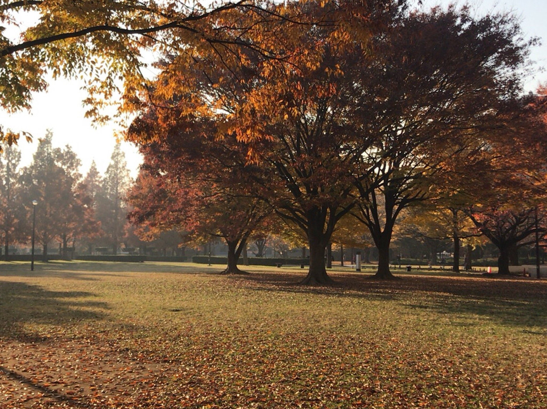 Kameido Chuo Park-Kameido必去景点