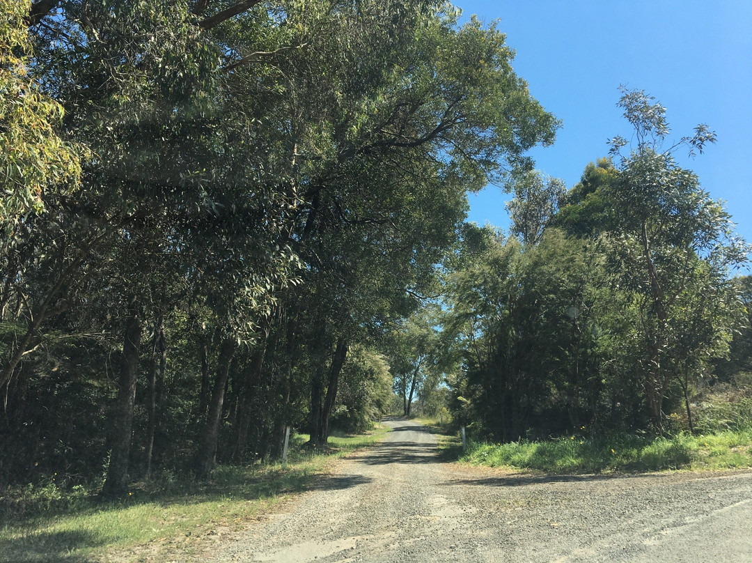 Foster Flora Reserve-福斯特必去景点