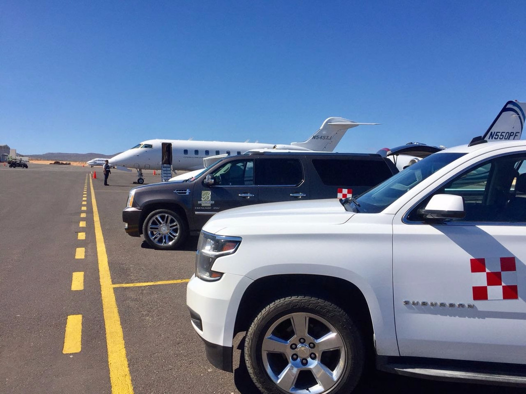 Brown's Private Services Transportation-卡波圣卢卡斯必去景点