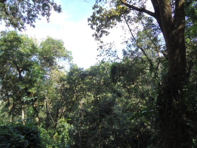 Khonghampat Orchidarium-因帕尔必去景点