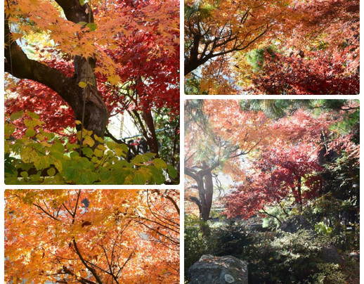 Gallery Yukomori-松本市必去景点