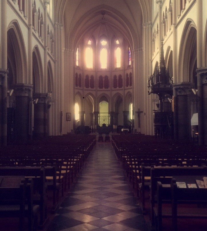 Eglise Saint-Pierre景点图片