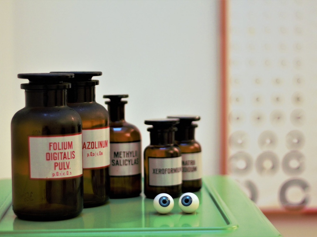 Vilkanastrai旅游景点-Train Your Brain - Escape Room