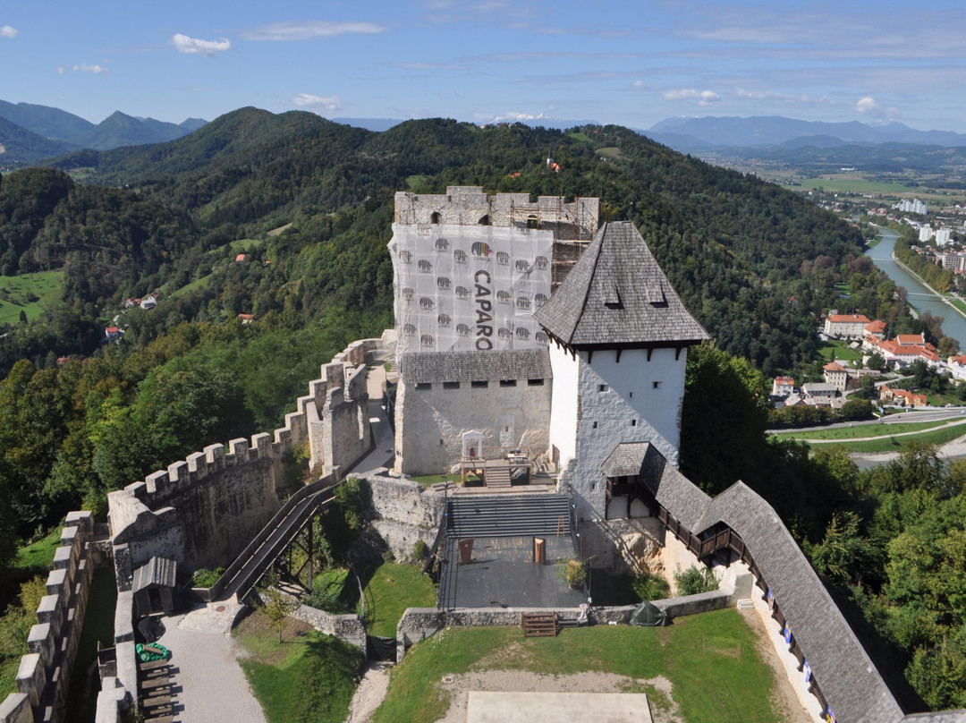 null-Celje