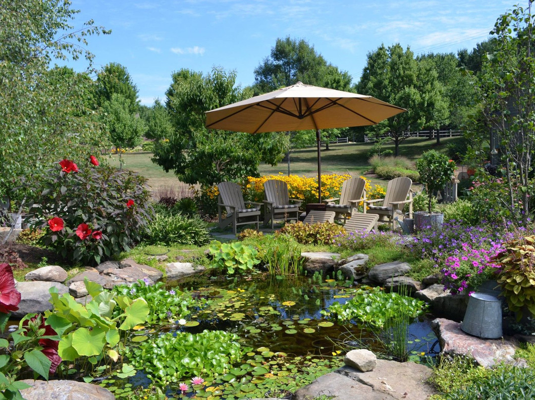 The Whimsical Pig Bed and Breakfast at Wolf Creek主图