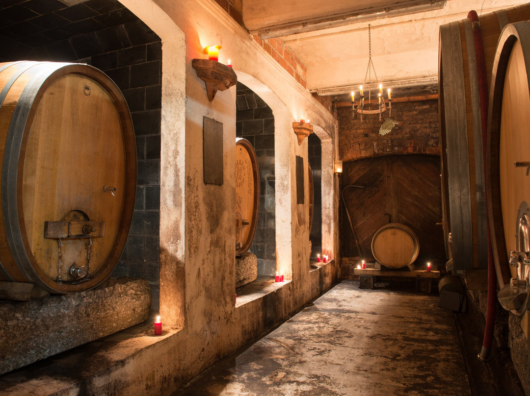 Maier - Bio Weingut Baden景点图片