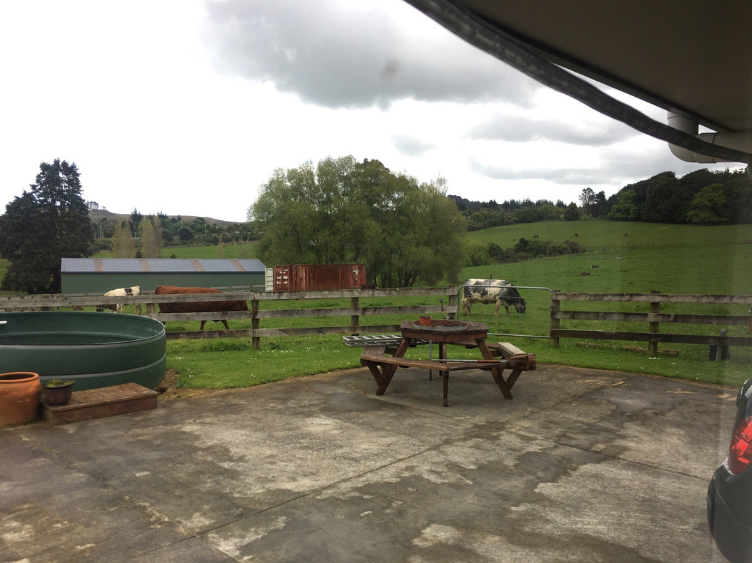 Petshari Lodge主图