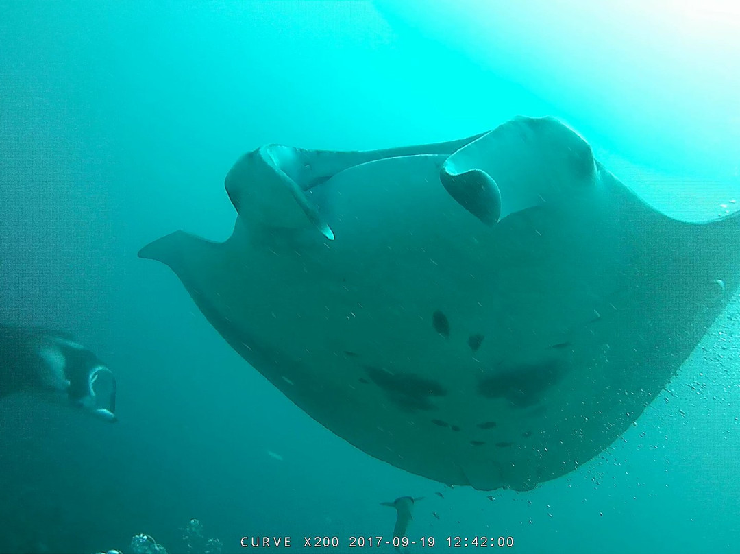 Serene Ocean-图杜岛必去景点