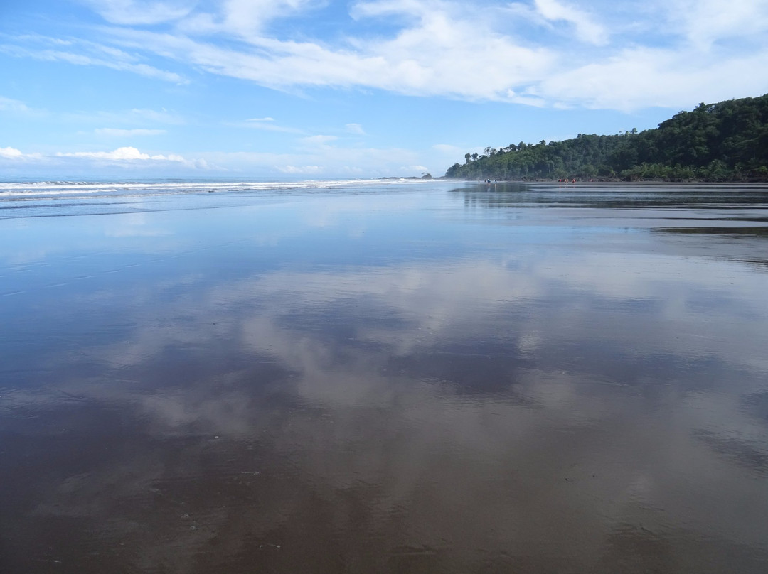 Playa El Almejal-Bahia Solano必去景点