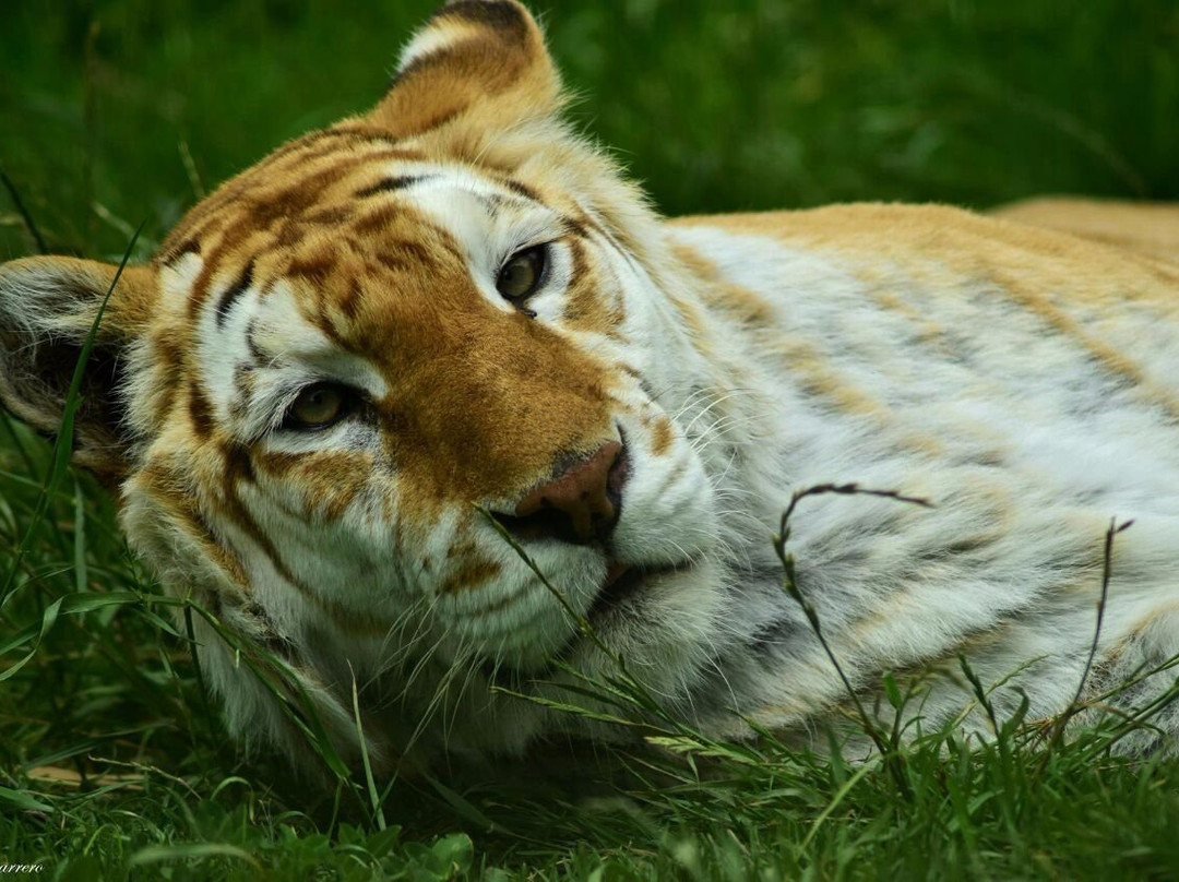 Bioparque Guátika-Tibasosa必去景点