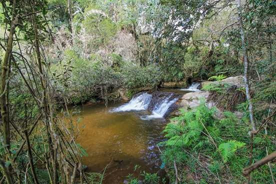 Chales Boa Vista主图