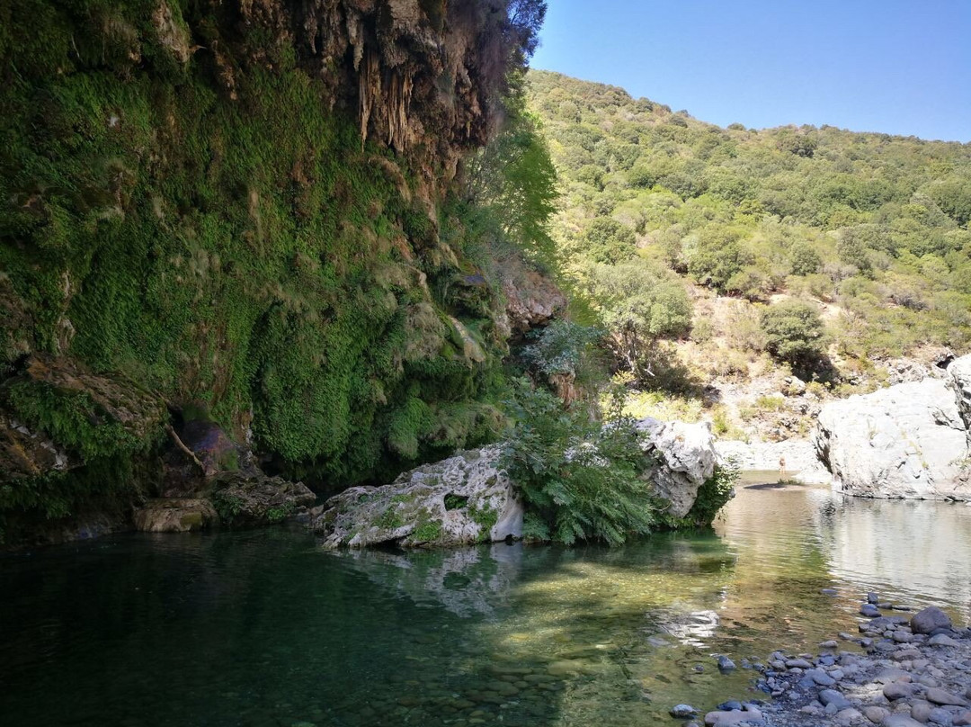Gadoni旅游景点-Cascata Sa Stiddiosa