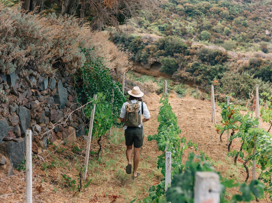 Salina EcoGastronomica-Isola di Salina必去景点