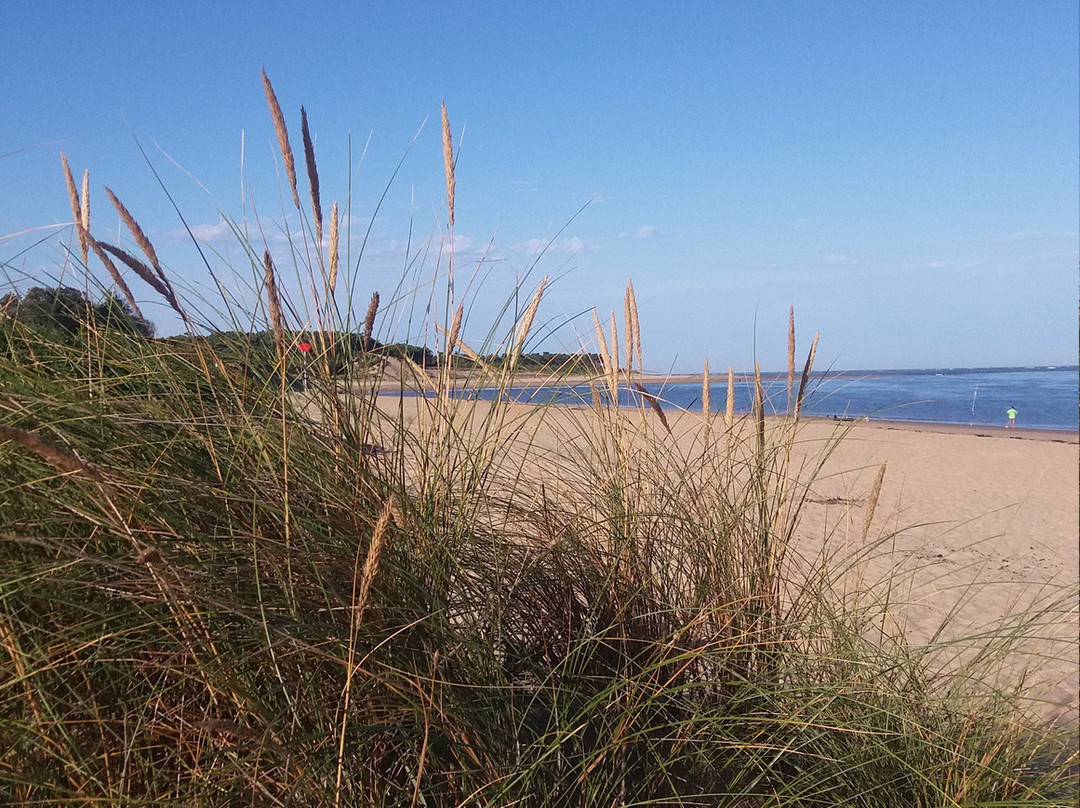 Plage de l'Embellie景点图片
