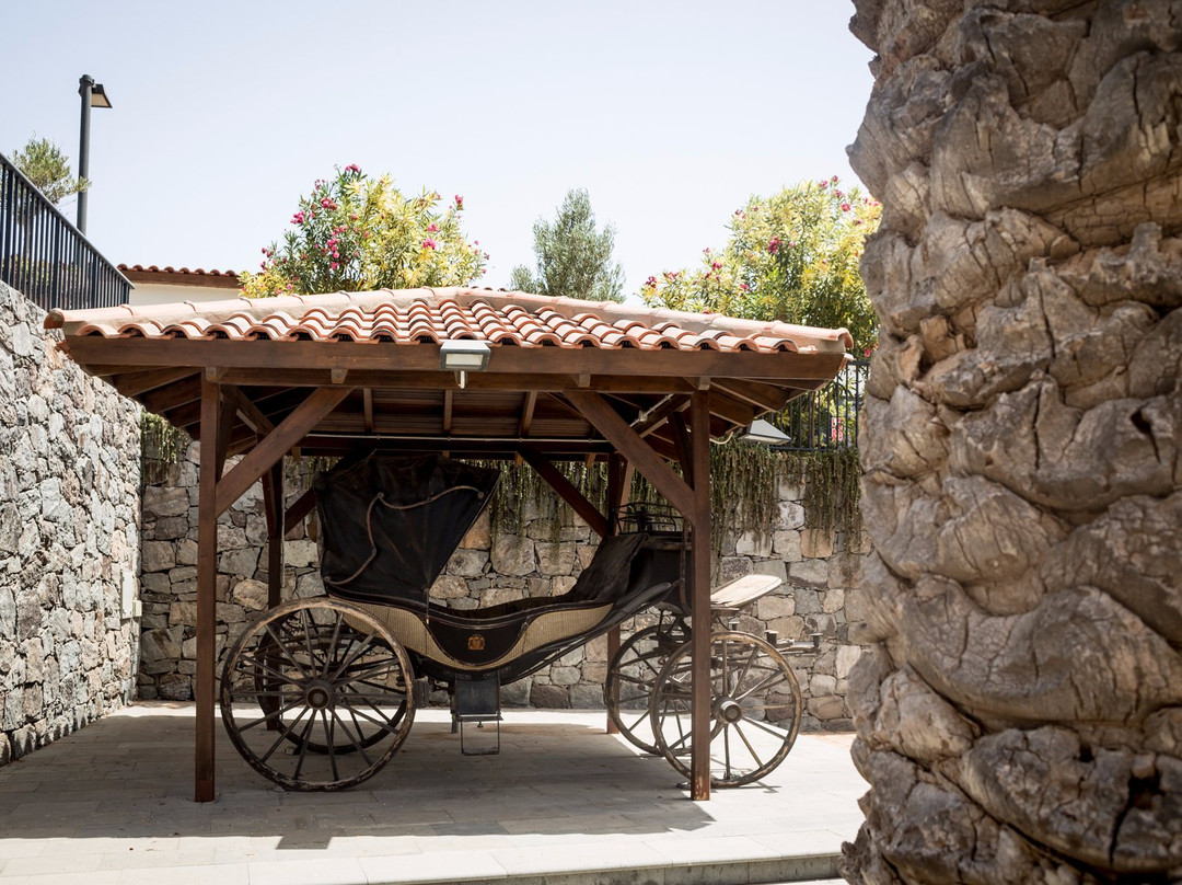 Finca Condal Vega Grande景点图片