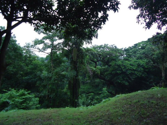 Fort William景点图片