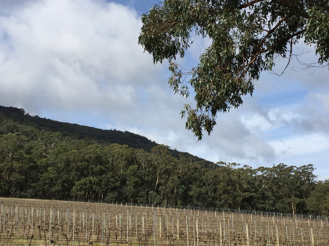 Mount Macedon Winery-马其顿必去景点