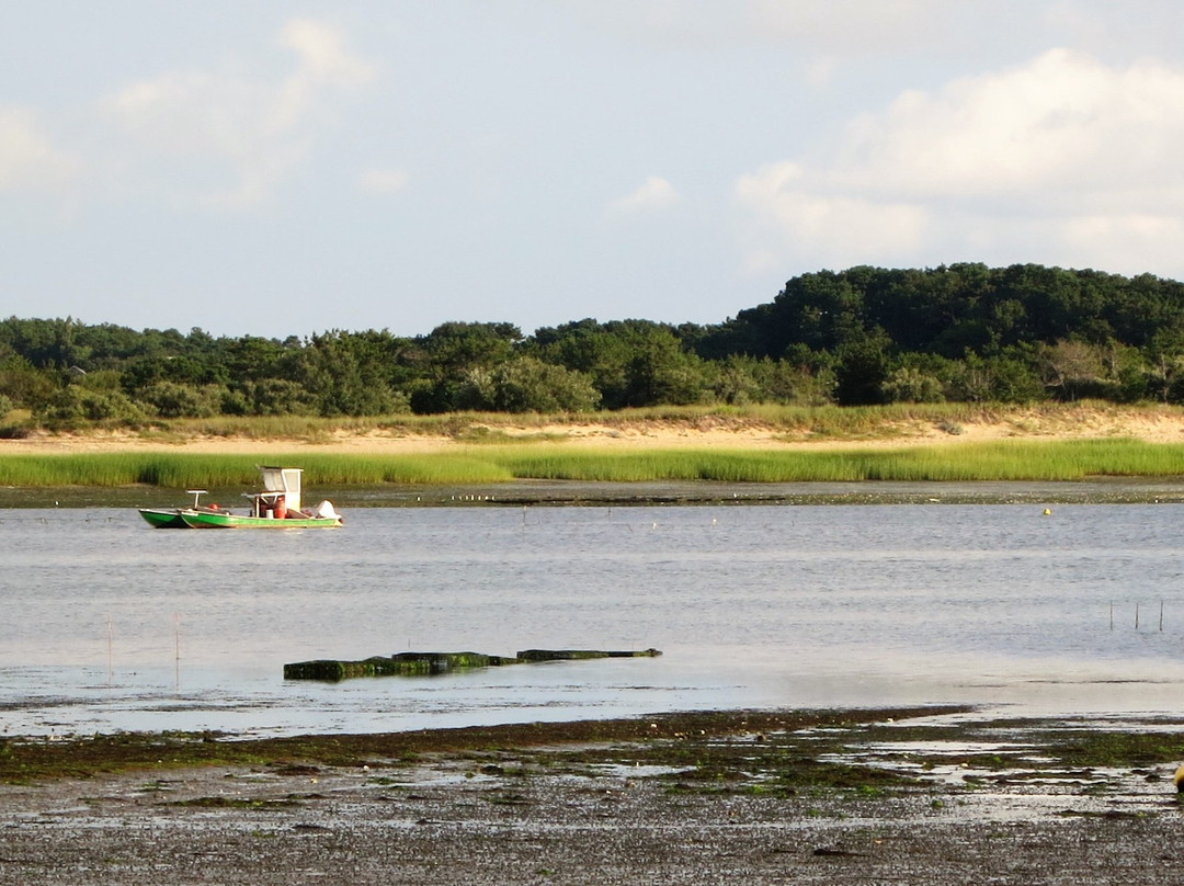 Mayo Beach景点图片