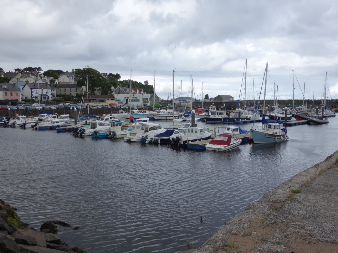 Ballycastle Harbour景点图片