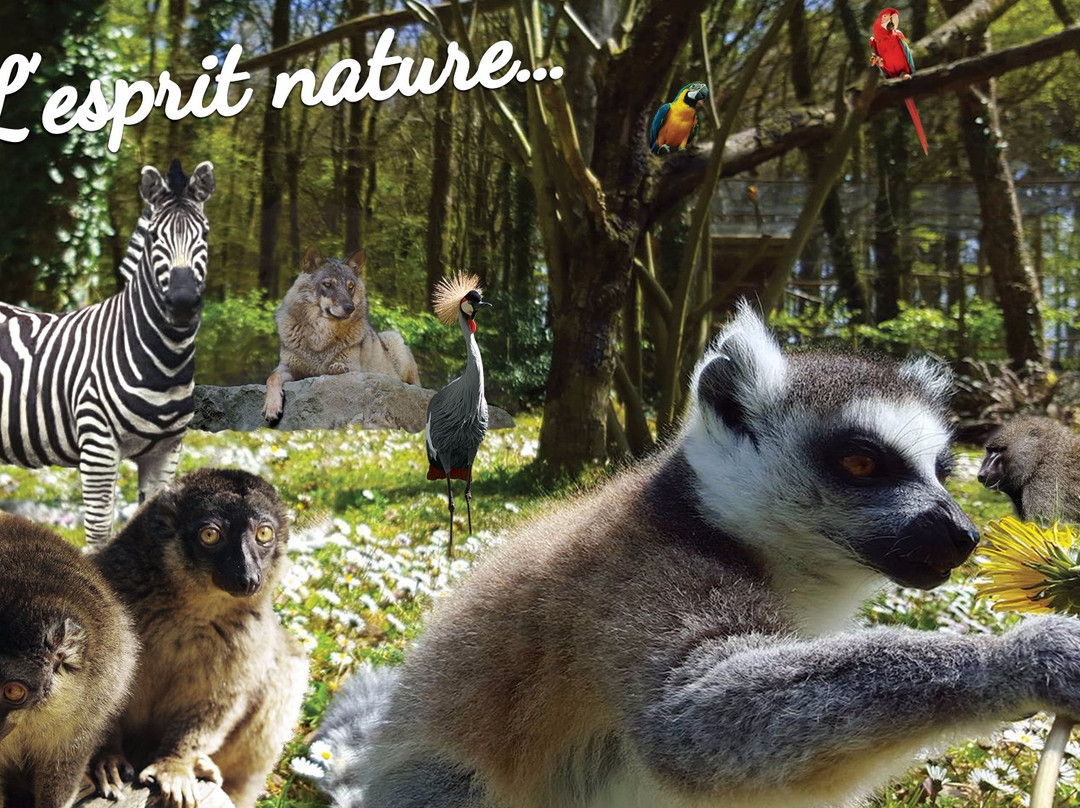Parc Animalier Saint Martin景点图片