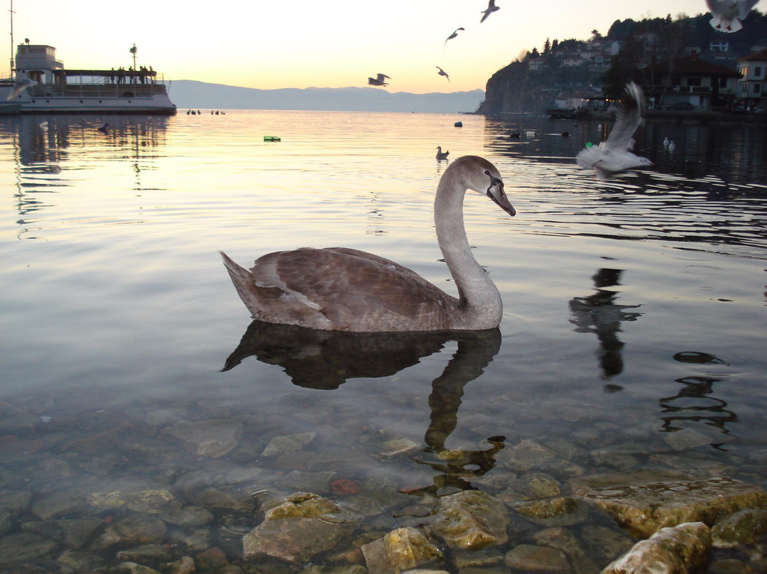 Globus Travel-奥赫里德必去景点