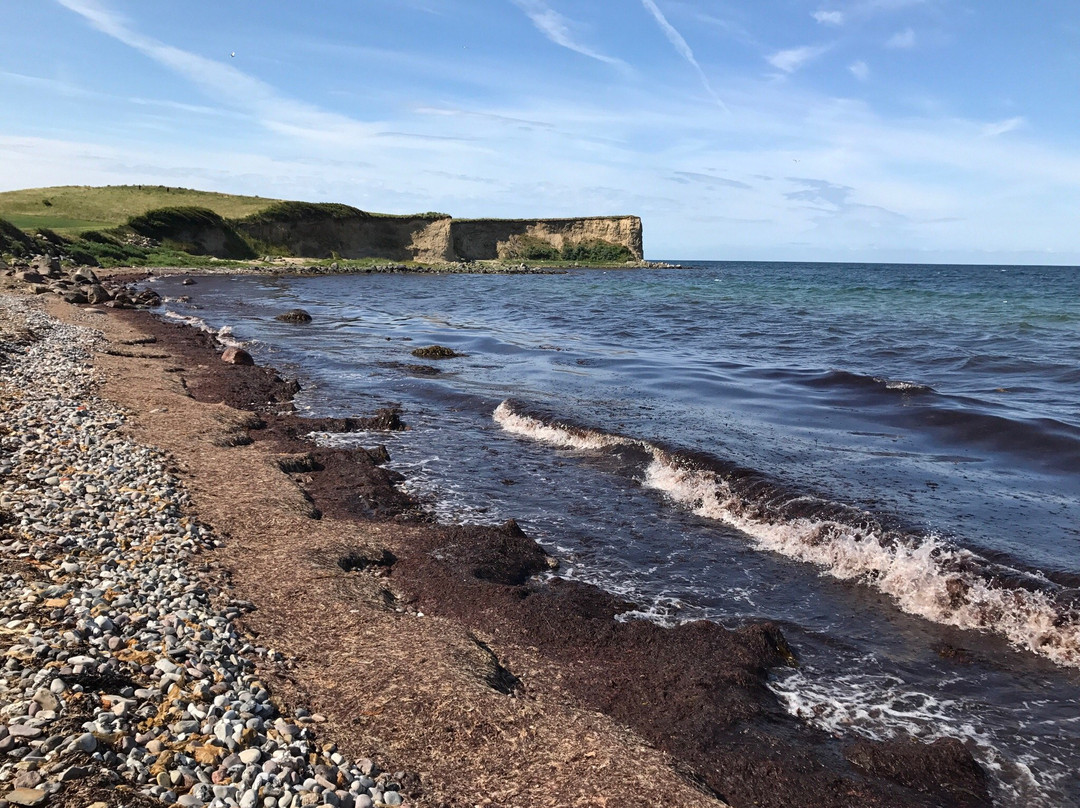 Funen and Islands旅游攻略图片