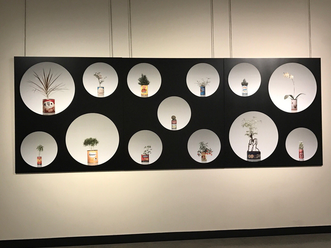 Gladstone Regional Art Gallery & Museum-Gladstone必去景点