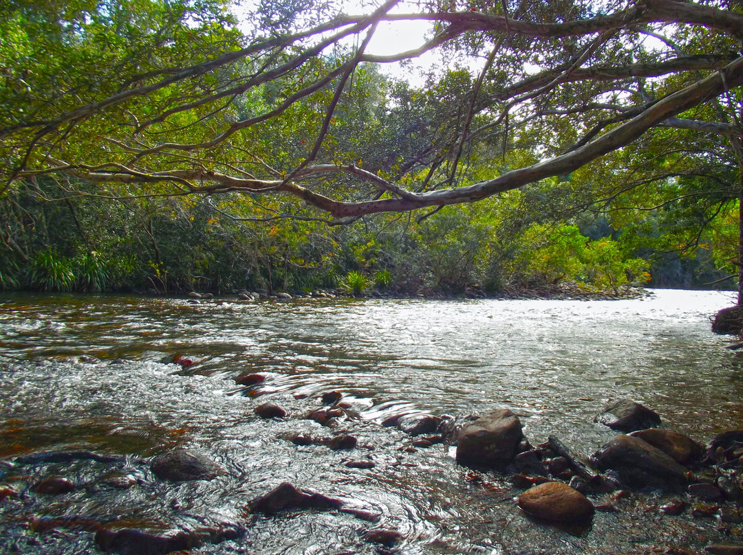 Broadwater National Park-Ingham必去景点