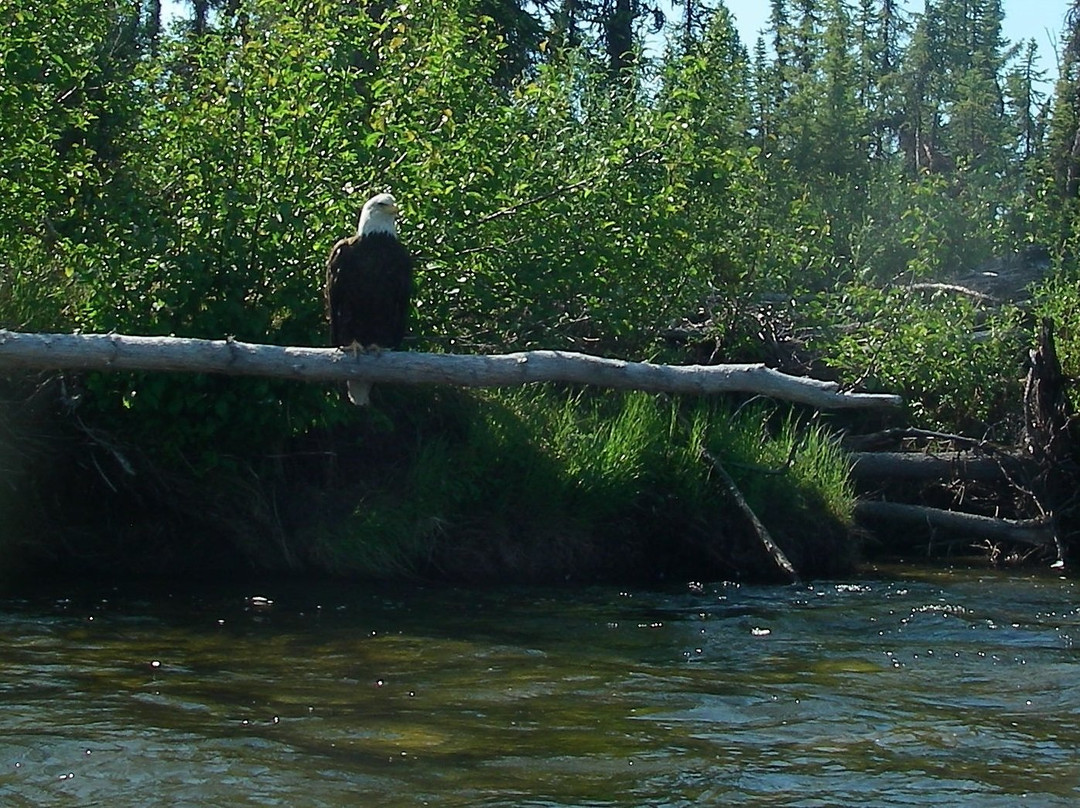 Alaska Dream Adventures-费尔班克斯必去景点