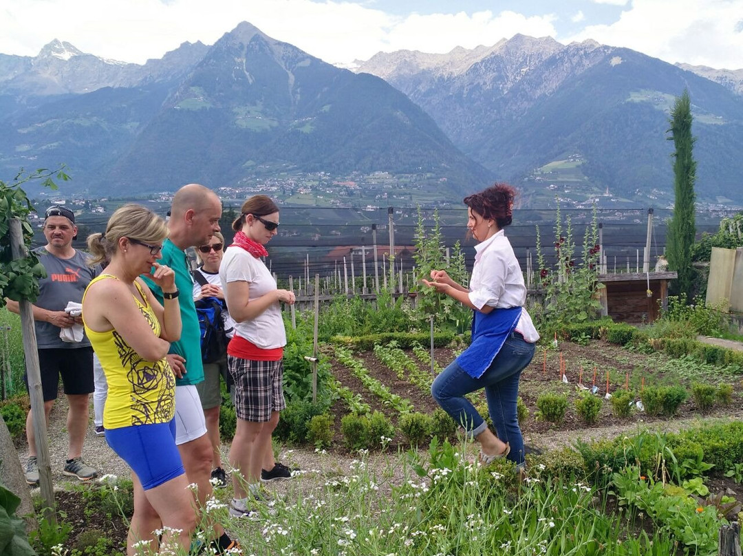 Sissi Tours-梅拉诺必去景点