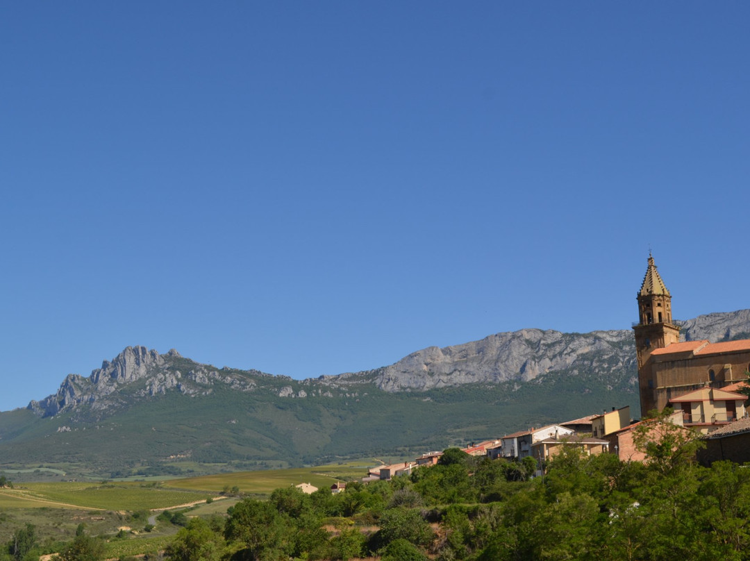 Bodegas Vina Laguardia S L景点图片