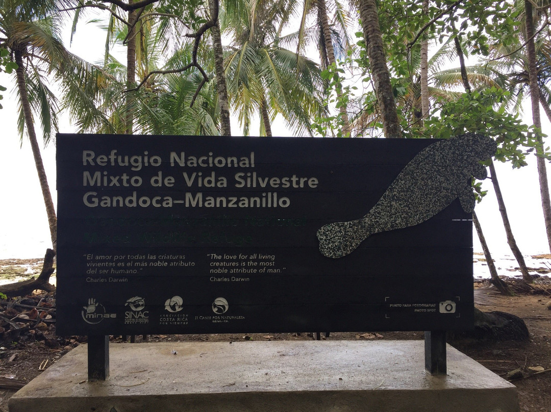 Refugio Nacional Mixto de Vida Silvestre Romelia景点图片