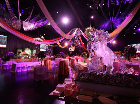 The Star Event Centre-悉尼必去景点