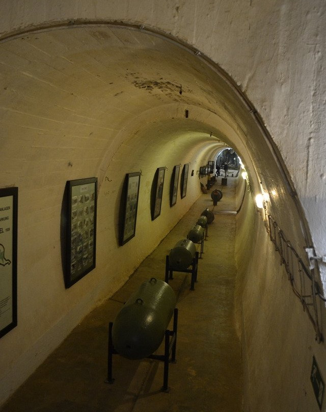 Westwallmuseum Panzerwerk Katzenkopf景点图片
