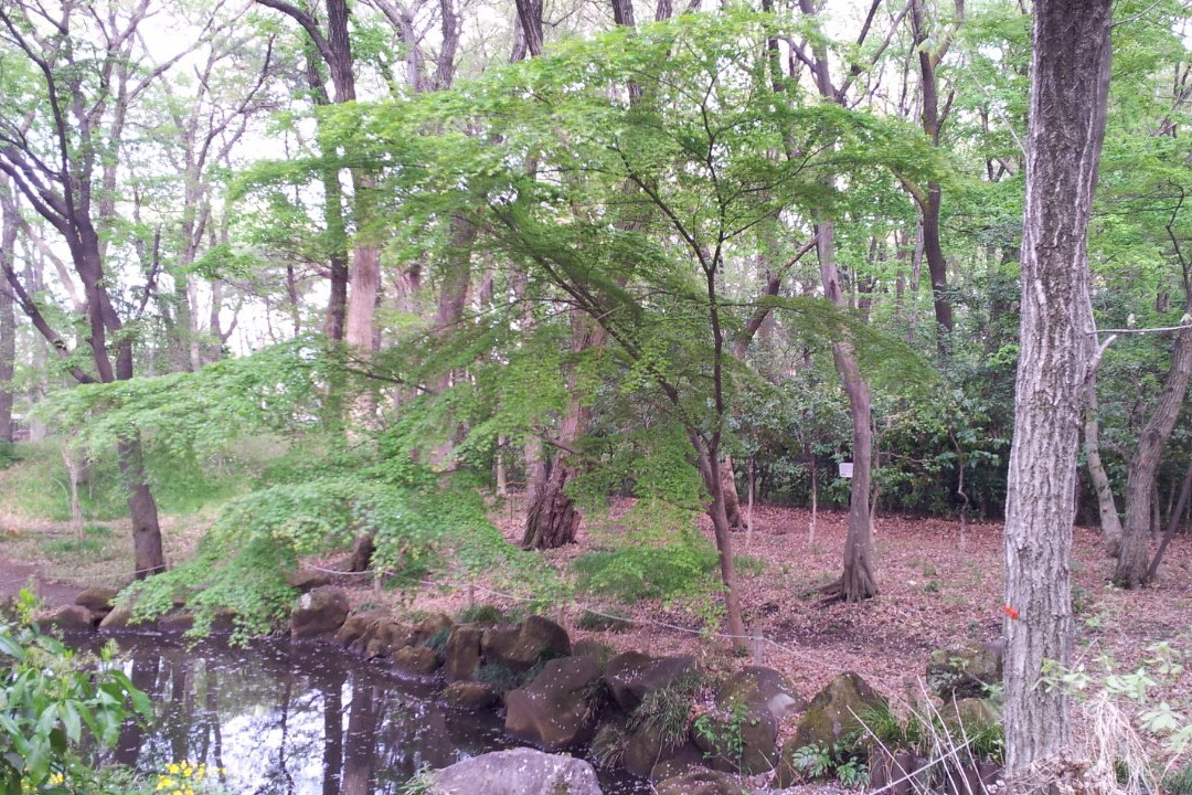 Higashimurayama Central Park-东村山市必去景点